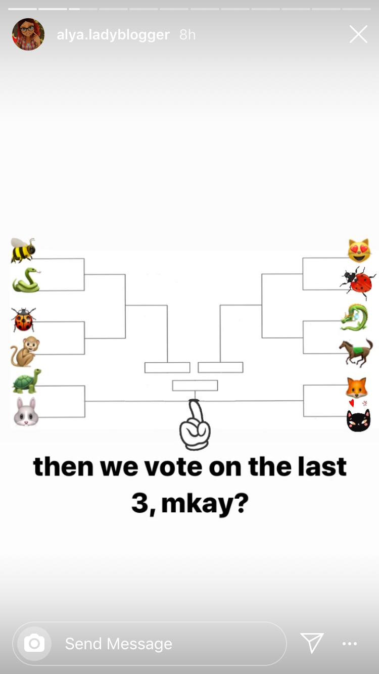 公式インスタグラム 人気投票part1 Miraculous Ladybugファンサイト